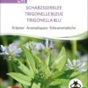 Bio Kräuter "Schabzigerklee" -Garten Flaire Verkaufsgeschäft sativa bio kraeuter schabzigerklee 1 paket 1675042 de