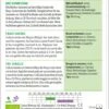Bio Mischung "Drei Schwestern" -Garten Flaire Verkaufsgeschäft sativa bio mischung drei schwestern 1 paket 1672142 de