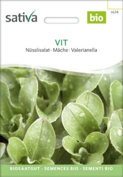 Bio Nüsslisalat -Garten Flaire Verkaufsgeschäft sativa bio nuesslisalat 1680971 de
