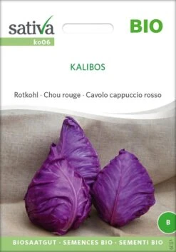 Garten Flaire Verkaufsgeschäft 24 Bio Rotkohl "Kalibos"