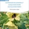 Bio Schwarzes Bilsenkraut -Garten Flaire Verkaufsgeschäft sativa bio schwarzes bilsenkraut 1 paket 1676941 de