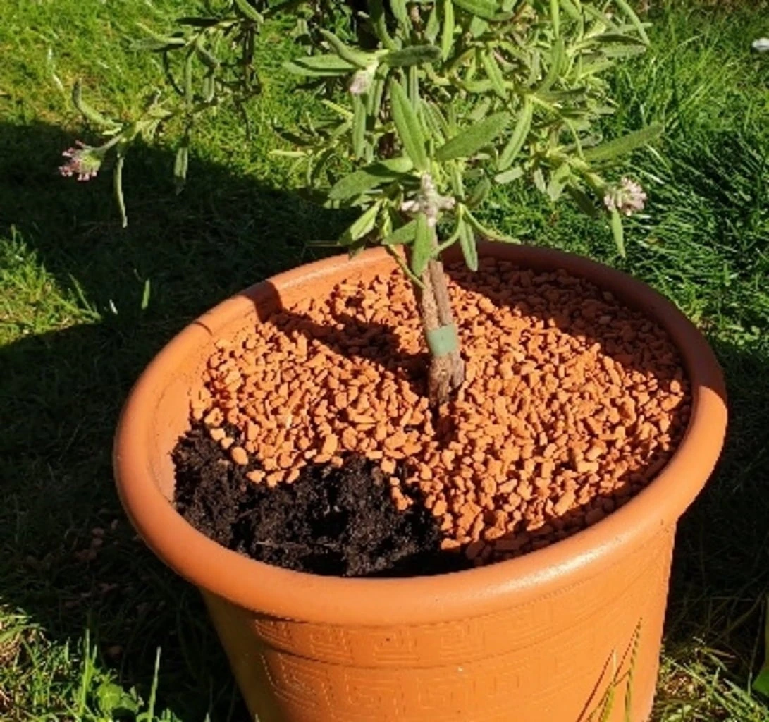 Bio-Pflanz-Granulat Für Hochbeete, Balkon- & Kübelpflanzen, 12,50 L 5 Bio-Pflanz-Granulat Für Hochbeete, Balkon- & Kübelpflanzen, 12,50 L – Bild 3