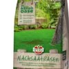 Nachsaat, 250 G -Garten Flaire Verkaufsgeschäft sperli nachsaat 1667715 de