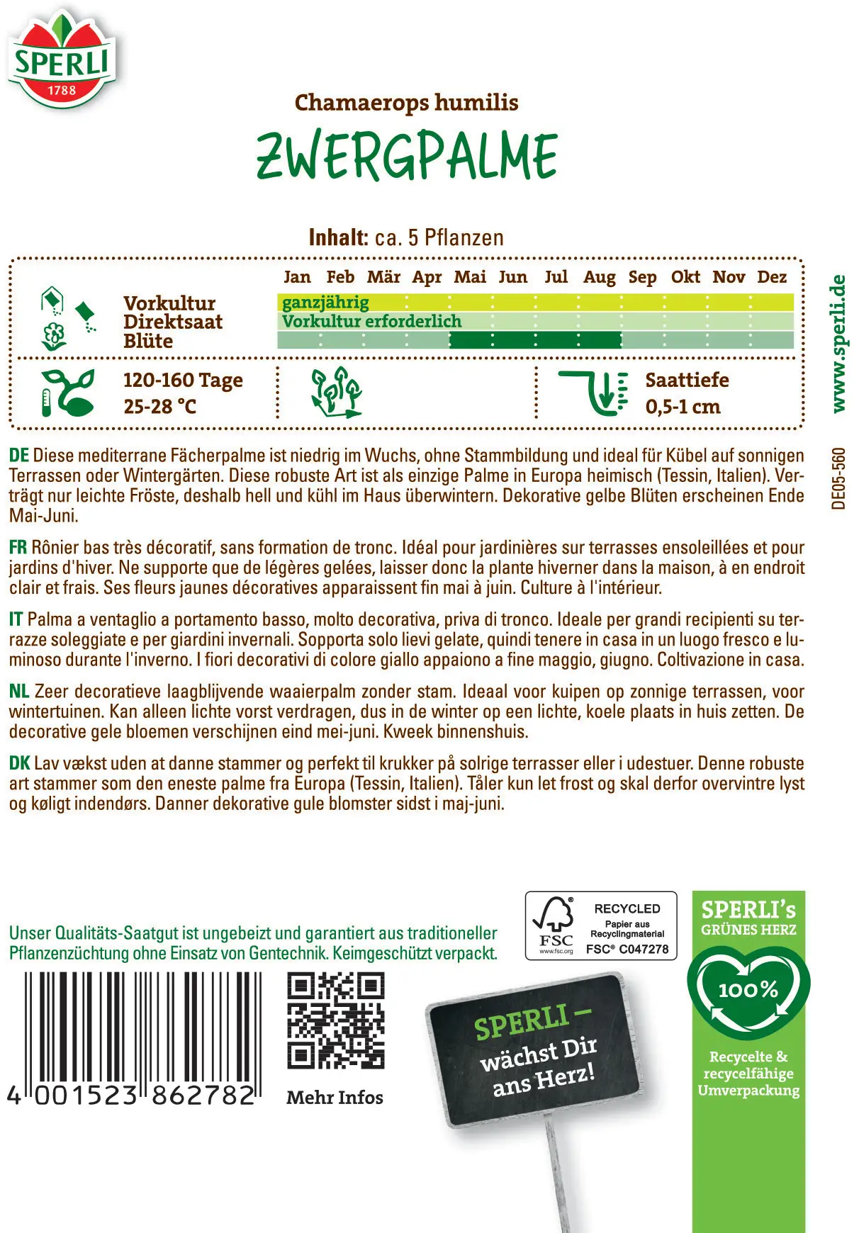 Zwergpalme "Tropenzauber" 4 Zwergpalme "Tropenzauber" – Bild 2