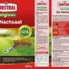 Rasen "Die Nachsaat", 2 Kg -Garten Flaire Verkaufsgeschäft substral rasen die nachsaat 2 kg 1666456 de