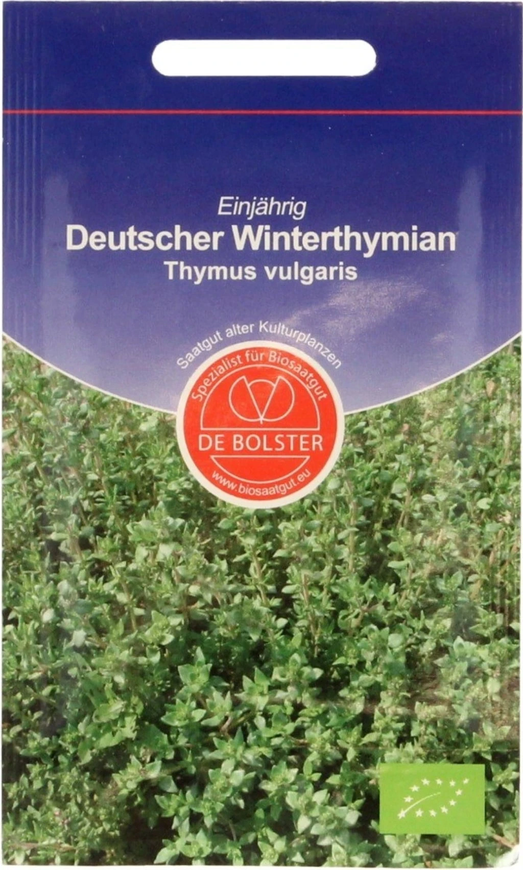 Thymian "Deutscher Winter", 0,50 G 5 Thymian "Deutscher Winter", 0,50 G – Bild 3