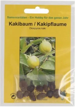 Kakibaum, 10 Korn -Garten Flaire Verkaufsgeschäft tropica kakibaum 10 korn 522833 de
