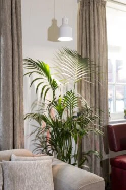 E27 Pflanzenlampe "Indoor Plants", 18 Watt -Garten Flaire Verkaufsgeschäft venso e27 pflanzenlampe indoor plants 884493 de