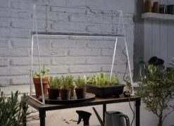 GrowLight Duo Mit Stativ 9 GrowLight Duo Mit Stativ -Garten Flaire Verkaufsgeschäft venso growlight duo mit stativ 1 set 883983 de