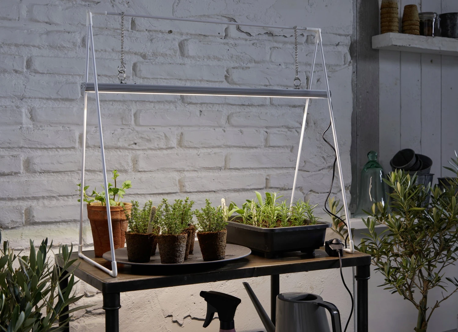 GrowLight Duo Mit Stativ 5 GrowLight Duo Mit Stativ - Image 3