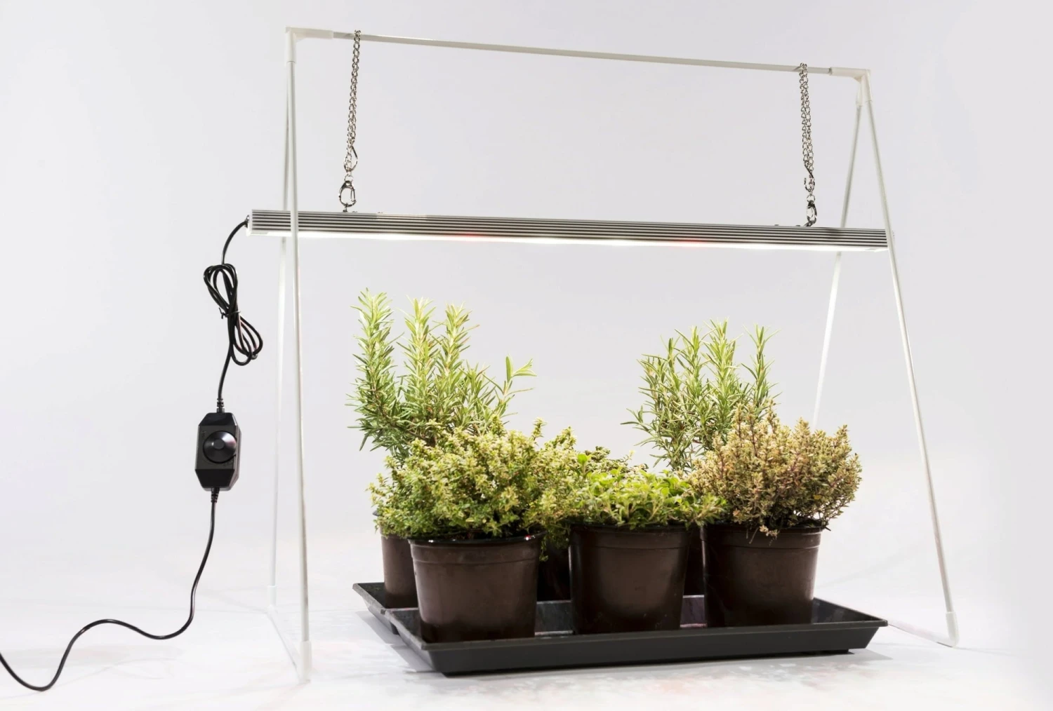 GrowLight Duo Mit Stativ 3 GrowLight Duo Mit Stativ