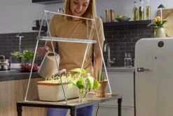 GrowLight Duo Mit Stativ 10 GrowLight Duo Mit Stativ -Garten Flaire Verkaufsgeschäft venso growlight duo mit stativ 1 set 884021 de