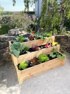 Premium Treppenhochbeet 13 Premium Treppenhochbeet -Garten Flaire Verkaufsgeschäft westmann premium treppenhochbeet 1 stk 1281375 de