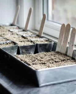 Anzuchtplatte Mit 30 Einzeltöpfen - Verzinkt