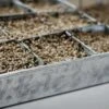 Anzuchtplatte Mit 70 Einzeltöpfen - Verzinkt -Garten Flaire Verkaufsgeschäft wet by pot ole anzuchtplatte mit 70 einzeltoepfen verzinkt 1 set 1486451 de