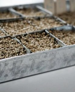 Anzuchtplatte Mit 70 Einzeltöpfen - Verzinkt