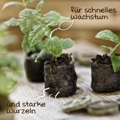 Windhager Anzucht-Quelltabs, 50 Stück -Garten Flaire Verkaufsgeschäft windhager anzucht quelltabs 50 k 1147574 de