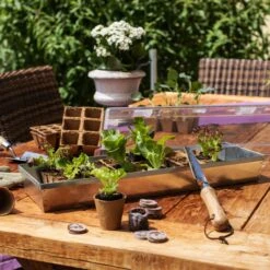 Windhager Anzuchtschale Verzinkt ÖKO -Garten Flaire Verkaufsgeschäft windhager anzuchtschale verzinkt oeko 1 stk 876098 de