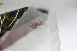 Windhager Fensterbank-Treibhaus 54,5x16,5 Cm 7 Windhager Fensterbank-Treibhaus 54,5x16,5 Cm -Garten Flaire Verkaufsgeschäft windhager fensterbank treibhaus 545x165 cm 1 st 1667495 de