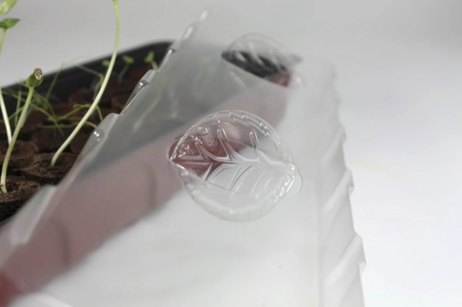 Windhager Fensterbank-Treibhaus 54,5x16,5 Cm 5 Windhager Fensterbank-Treibhaus 54,5x16,5 Cm - Image 3