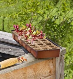 Windhager Fensterbank-Treibhaus Inkl. 30 Töpfe -Garten Flaire Verkaufsgeschäft windhager fensterbank treibhaus inkl 30 toepfe 1 set 659783 de