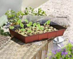 Windhager Fensterbank-Treibhaus Maxi -Garten Flaire Verkaufsgeschäft windhager fensterbank treibhaus maxi 1 stk 659853 de