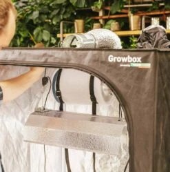 Windhager Growbox Starterset -Garten Flaire Verkaufsgeschäft windhager growbox starterset 1 set 1118977 de