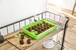 Windhager Haube Für Aussaat-Schale 38x24x13 Cm -Garten Flaire Verkaufsgeschäft windhager haube fuer aussaat schale 38x24x13 cm 1 stk 661758 de