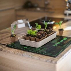 Windhager Heizmatte 51 X 53 Cm, 45 Watt 10 Windhager Heizmatte 51 X 53 Cm, 45 Watt -Garten Flaire Verkaufsgeschäft windhager heizmatte 51 x 53 cm 45 watt 1 stk 1043570 de