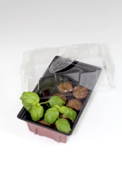 Windhager Zimmer-Treibhaus Mini Mit 8x Quelltabs -Garten Flaire Verkaufsgeschäft windhager zimmer treibhaus mini mit 8x quelltabs 1 st 1668885 de