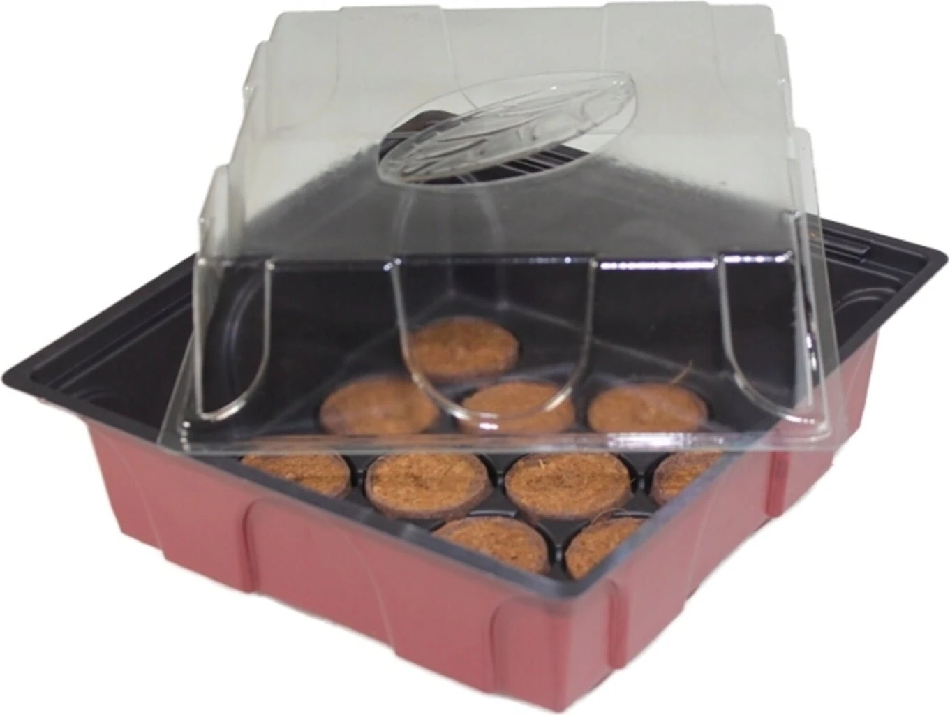 Windhager Zimmertreibhaus Inkl. 12 Quelltabs 3 Windhager Zimmertreibhaus Inkl. 12 Quelltabs