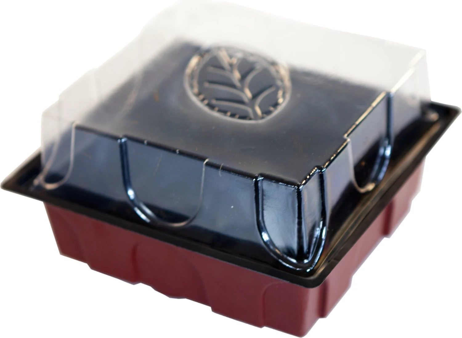 Windhager Zimmertreibhaus Inkl. 12 Quelltabs 6 Windhager Zimmertreibhaus Inkl. 12 Quelltabs - Image 4