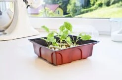 Windhager Zimmertreibhaus Inkl. 12 Quelltabs 11 Windhager Zimmertreibhaus Inkl. 12 Quelltabs -Garten Flaire Verkaufsgeschäft windhager zimmertreibhaus inkl 12 quelltabs 1 set 659933 de