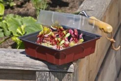 Windhager Zimmertreibhaus Inkl. 12 Quelltabs 8 Windhager Zimmertreibhaus Inkl. 12 Quelltabs -Garten Flaire Verkaufsgeschäft windhager zimmertreibhaus inkl 12 quelltabs 1 set 659953 de