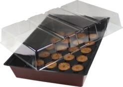 Windhager Zimmertreibhaus Inkl. 24 Quelltabs -Garten Flaire Verkaufsgeschäft windhager zimmertreibhaus inkl 24 quelltabs 1 set 659873 de