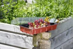 Windhager Zimmertreibhaus Inkl. 24 Quelltabs -Garten Flaire Verkaufsgeschäft windhager zimmertreibhaus inkl 24 quelltabs 1 set 659893 de