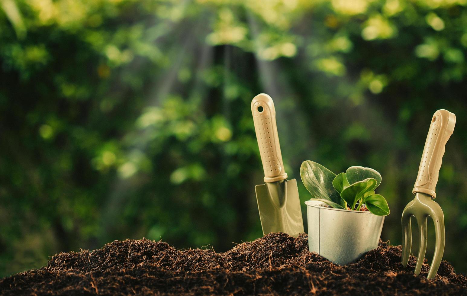 Garten Flaire Verkaufsgeschäft -Garten Flaire Verkaufsgeschäft planting a small plant on a pile of soil with gardening tools on green bokeh background free photo