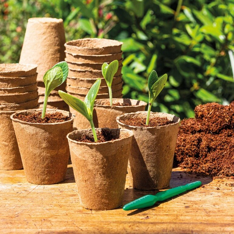 Garten Flaire Verkaufsgeschäft -Garten Flaire Verkaufsgeschäft romberg 48 anzuchttoepfe 8 cm rund 1501615 de 768x768 1